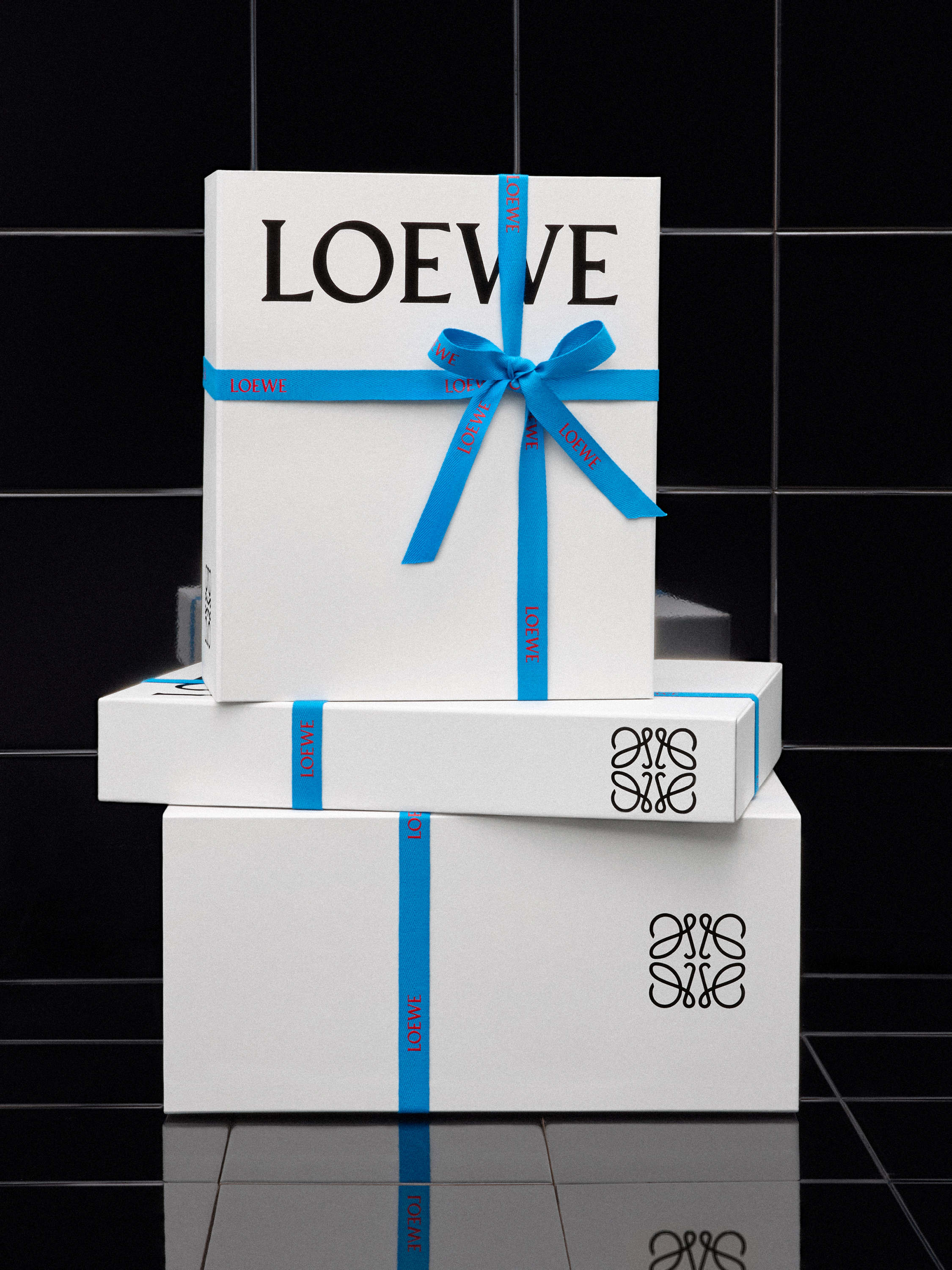 LOEWE - - LOEWE Japan official website
